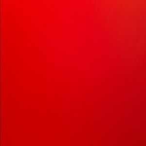 Meet your Posher, Jocelyn